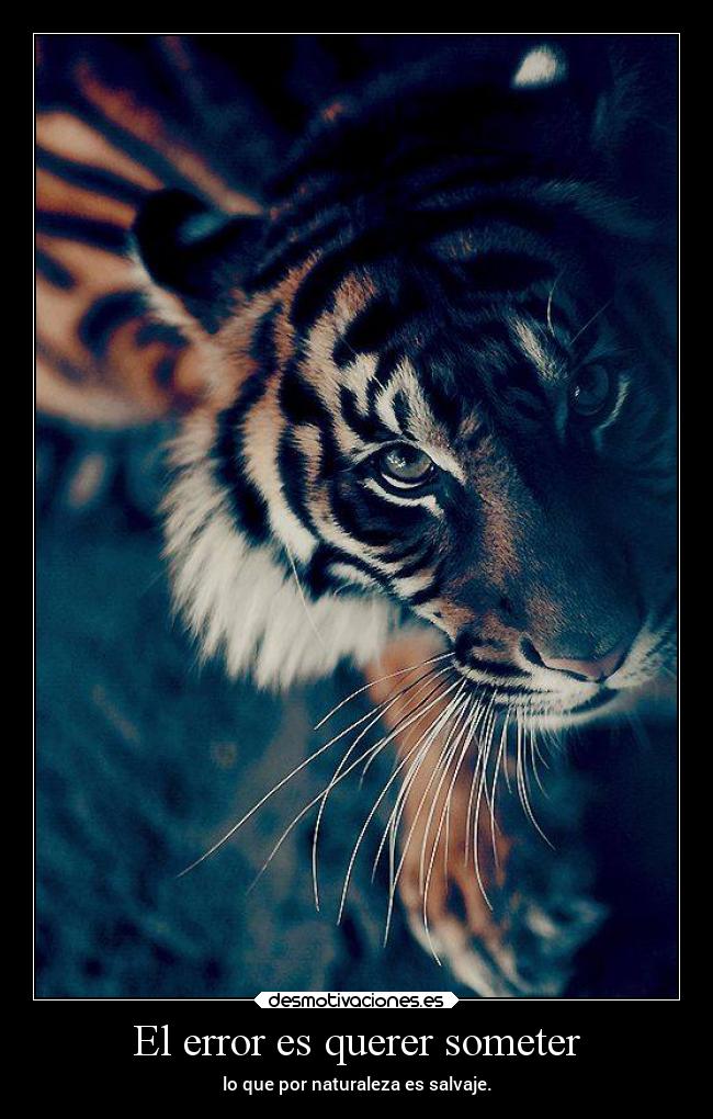 El error es querer someter - 