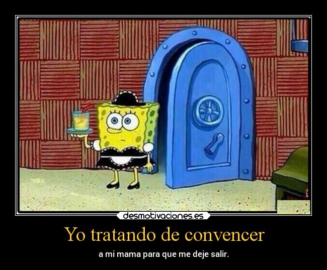 Yo tratando de convencer - 