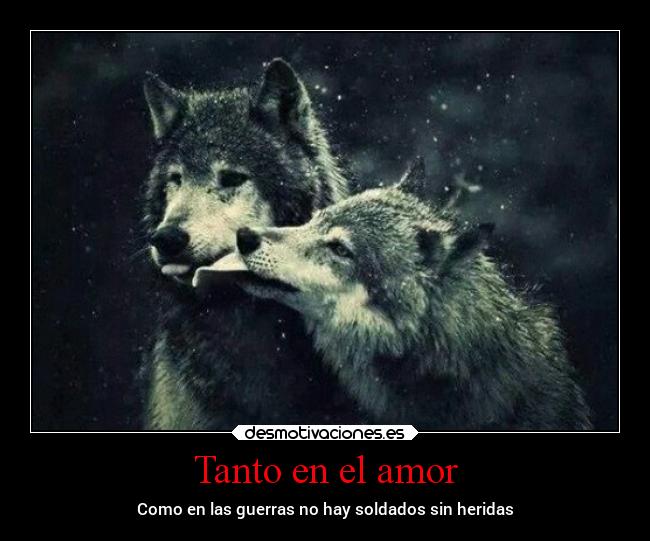 Tanto en el amor - Como en las guerras no hay soldados sin heridas