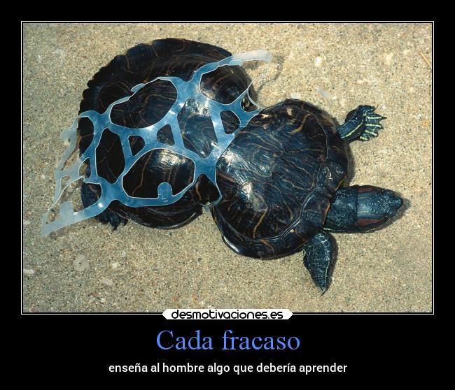Cada fracaso - enseña al hombre algo que debería aprender