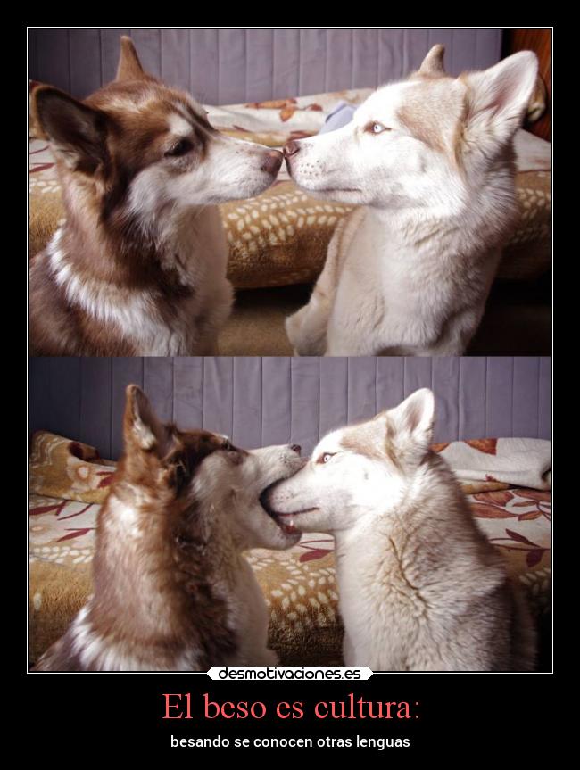 El beso es cultura: - besando se conocen otras lenguas