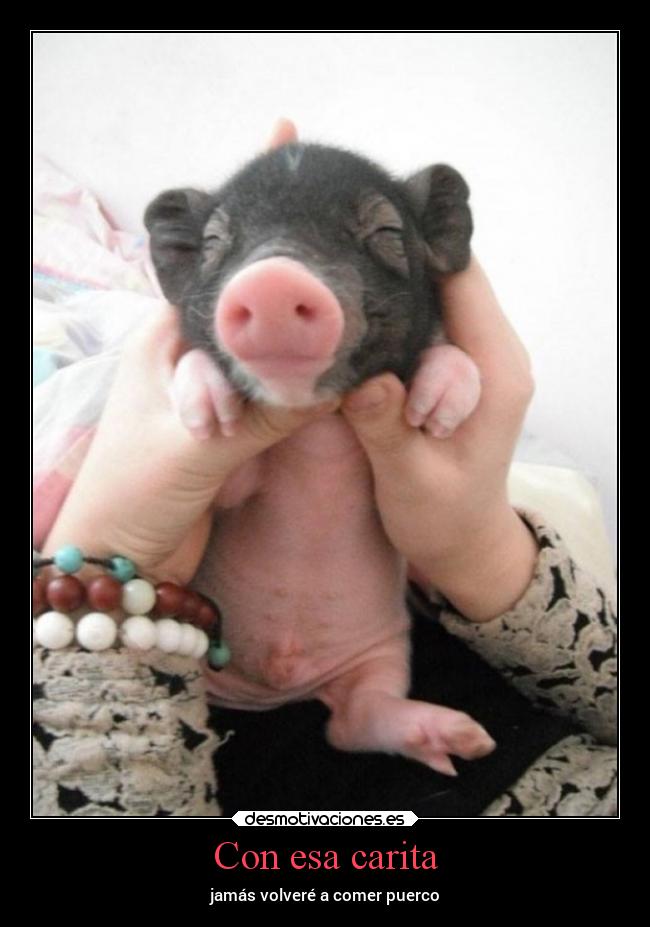 Con esa carita - jamás volveré a comer puerco