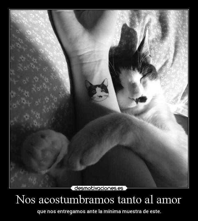 Nos acostumbramos tanto al amor -