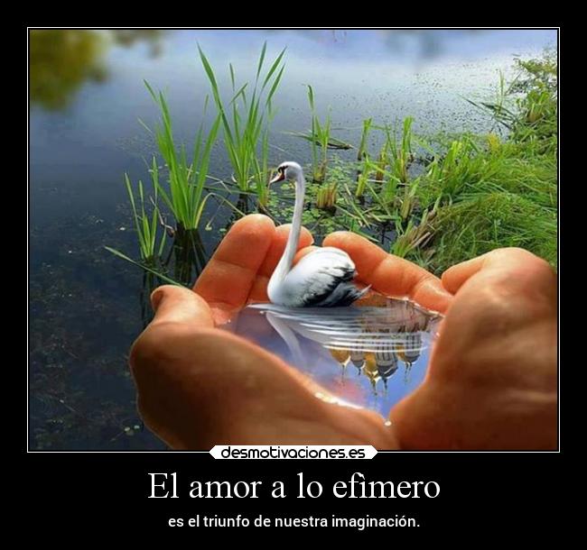 El amor a lo efìmero - 