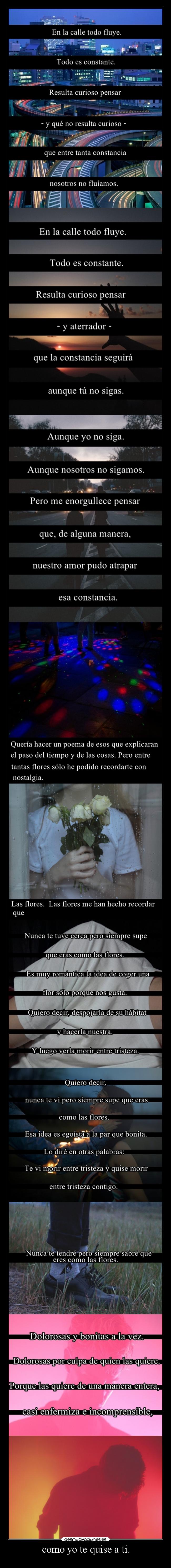 como yo te quise a ti. - 