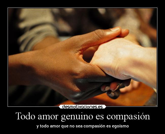 carteles amor vida desmotivaciones