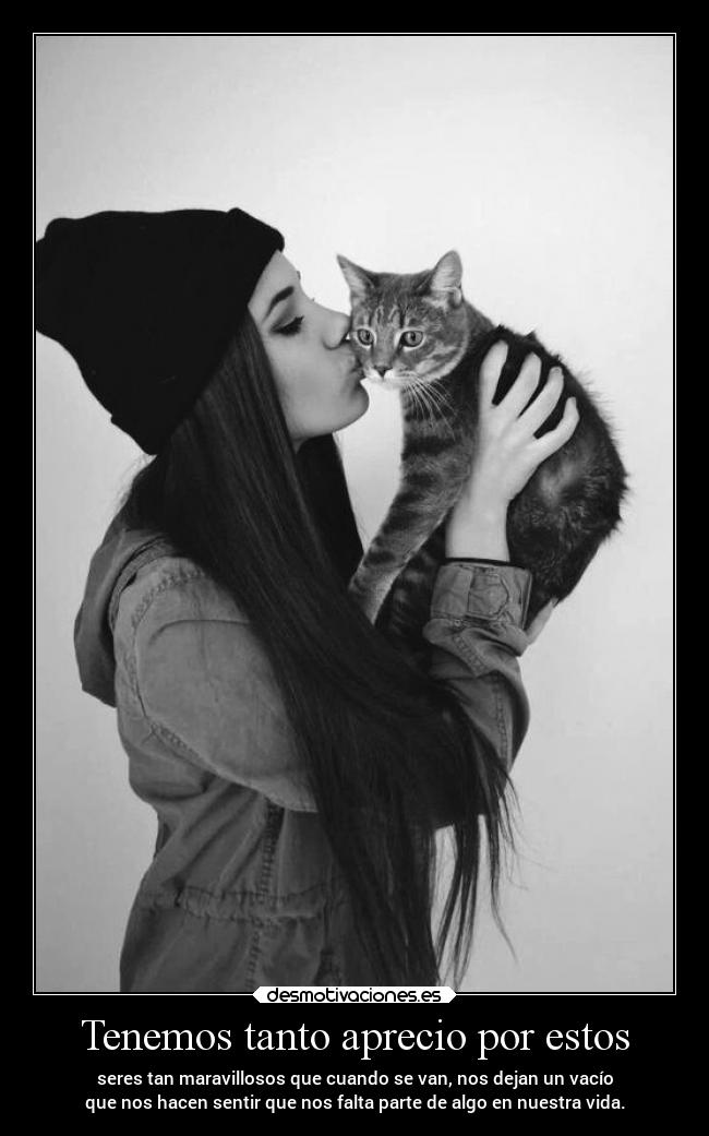 carteles animales amor vida mascotas carino vacio desmotivaciones