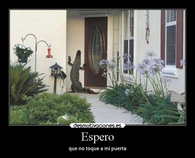 Espero - 