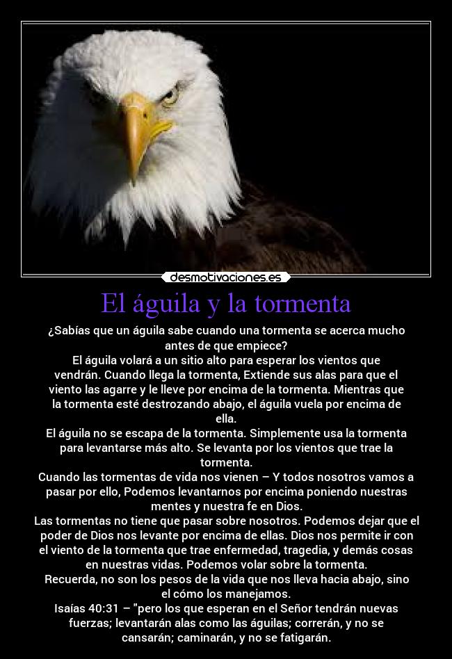 carteles animales desmotivaciones