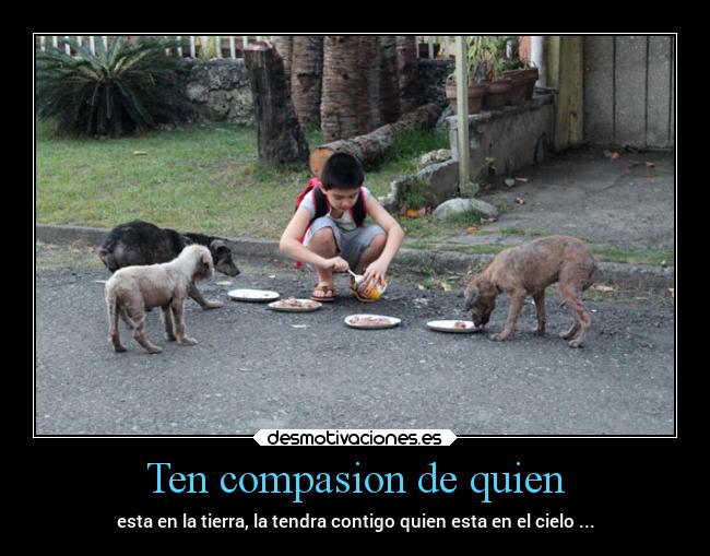 Ten compasion de quien - esta en la tierra, la tendra contigo quien esta en el cielo ...