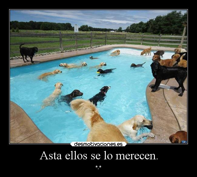 Asta ellos se lo merecen. - *.*