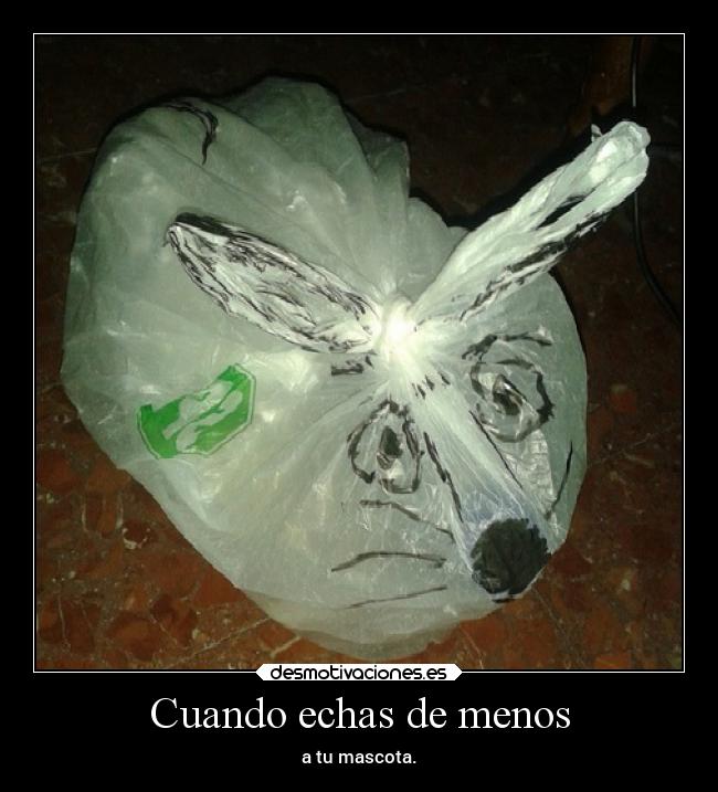 carteles animales desmotivaciones