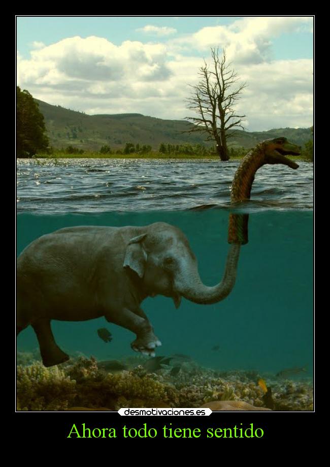 Ahora todo tiene sentido -