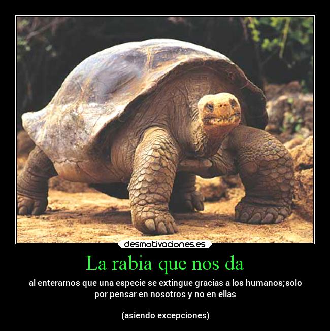 La rabia que nos da -