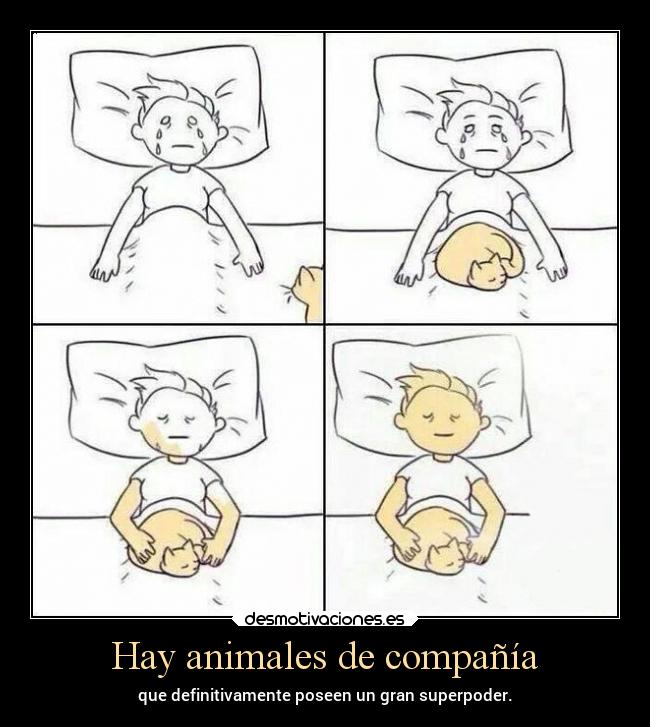 carteles animales animales superpoder compania lluwuachu rilacs desmotivaciones