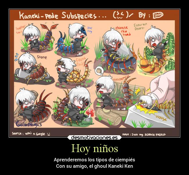 Hoy niños - Aprenderemos los tipos de ciempiés
Con su amigo, el ghoul Kaneki Ken
