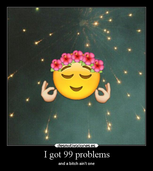 I got 99 problems - and a bitch aint one