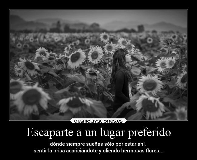 carteles ausencia escapar girasoles lugar sueno preferido oler sentir desmotivaciones