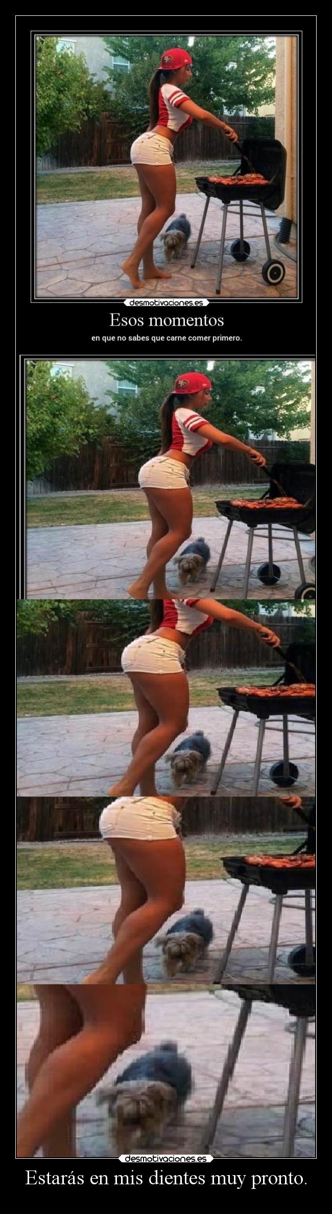 carteles besos tetas humor comida perro carne trasero culo regueaton holasoyeldiablo rape devilbrigade desmotivaciones