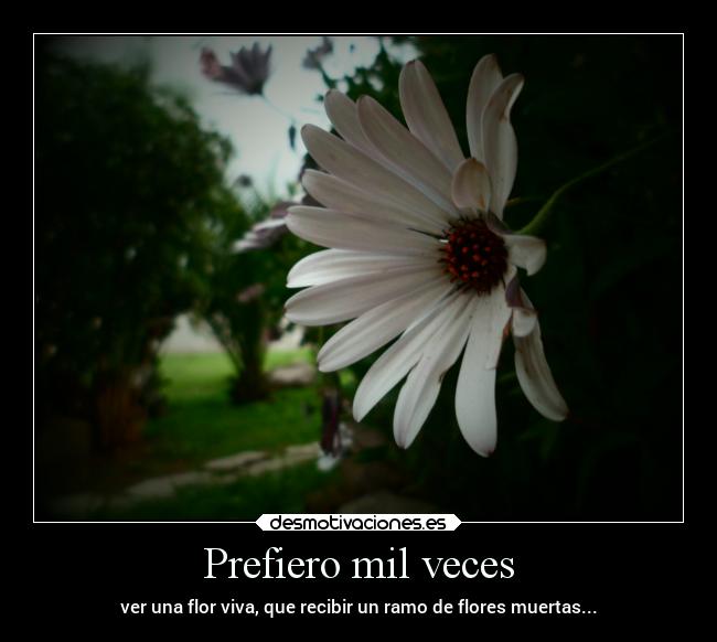 carteles caracter desmotivaciones