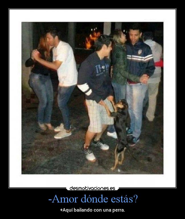 -Amor dónde estás? -