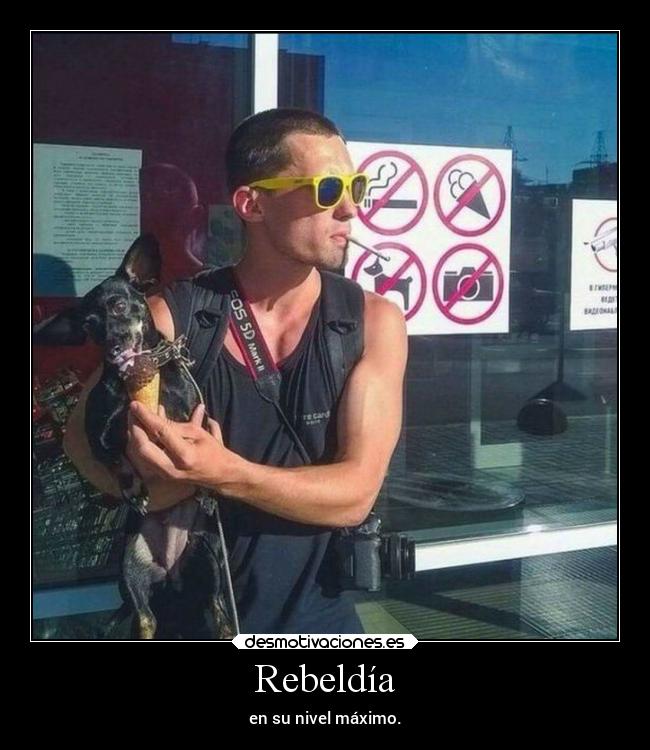 Rebeldía - en su nivel máximo.