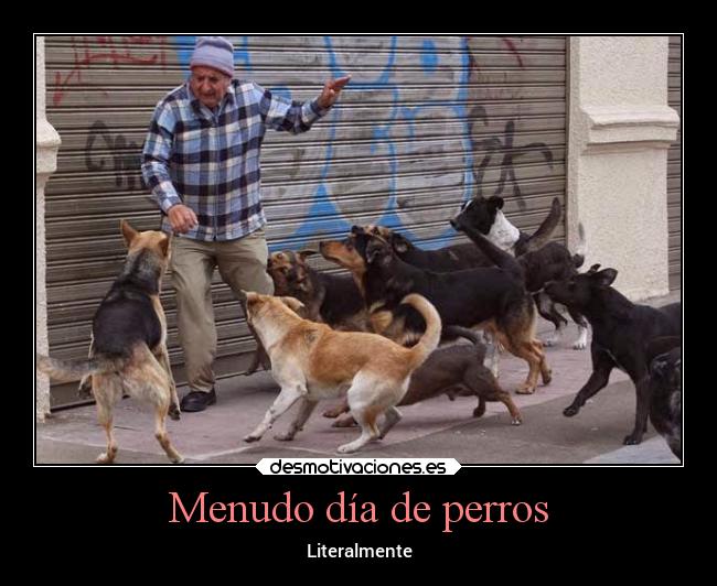 Menudo día de perros - Literalmente