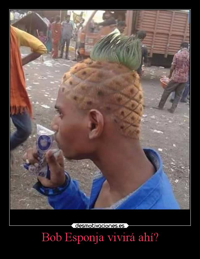 Bob Esponja vivirá ahí? -