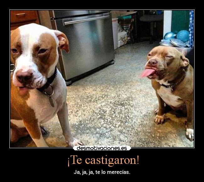 ¡Te castigaron! - 