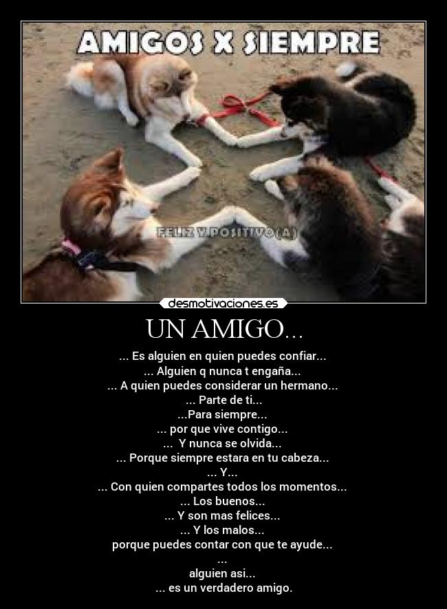 UN AMIGO... - ... Es alguien en quien puedes confiar...
... Alguien q nunca t engaña...
... A quien puedes considerar un hermano...
... Parte de ti...
...Para siempre...
... por que vive contigo...
... Y nunca se olvida...
... Porque siempre estara en tu cabeza...
... Y...
... Con quien compartes todos los momentos...
... Los buenos...
... Y son mas felices...
... Y los malos...
porque puedes contar con que te ayude...
...
alguien asi...
... es un verdadero amigo.