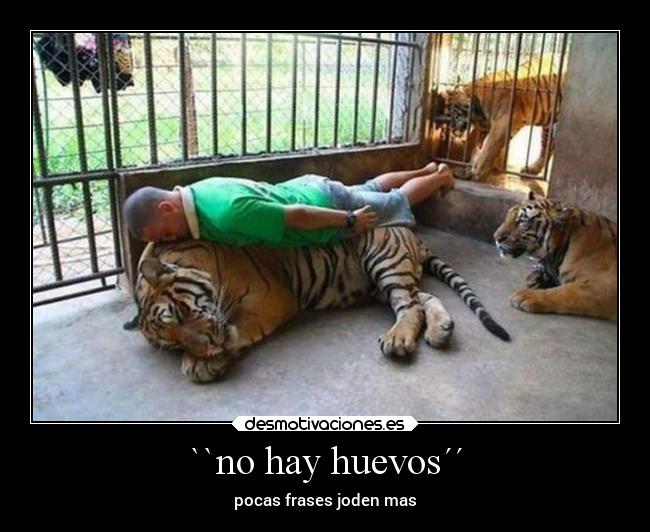 ``no hay huevos´´ - pocas frases joden mas