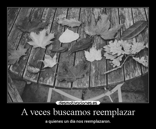 A veces buscamos reemplazar -