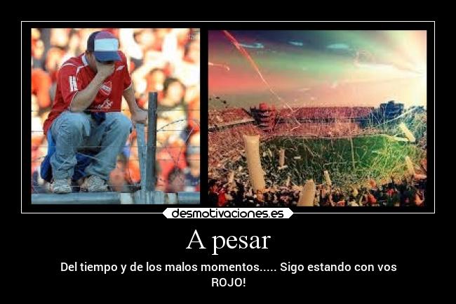 carteles deportes desmotivaciones