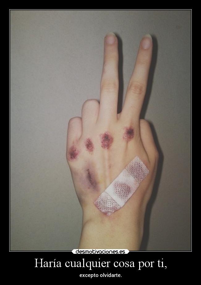Haría cualquier cosa por ti, - excepto olvidarte.