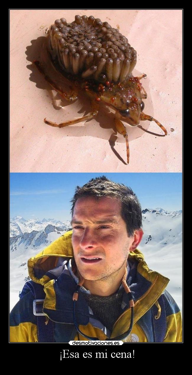 carteles deseos sentimientos memes humor tonto comida laurasimpson11 hambre desmotivaciones