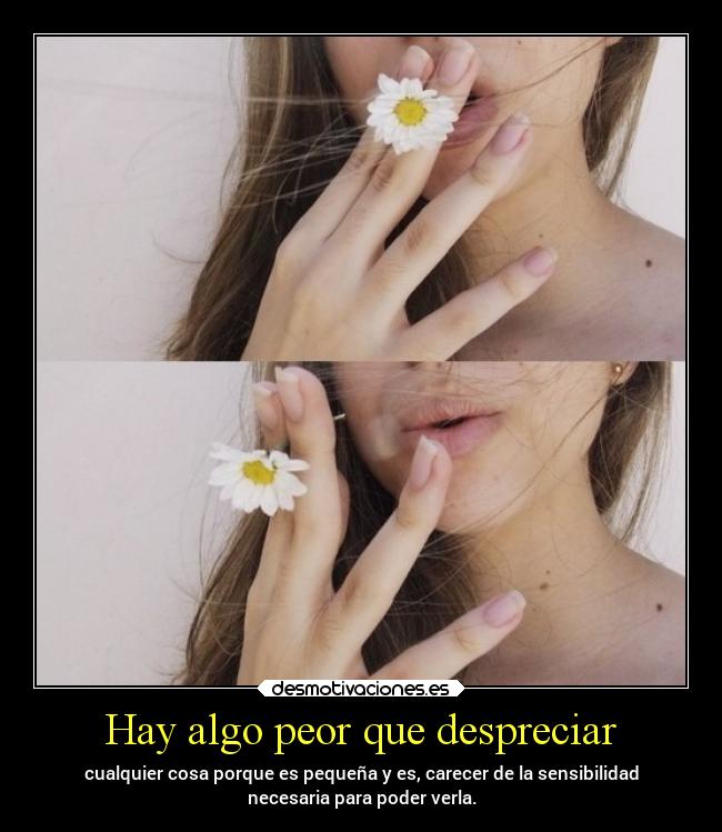 Hay algo peor que despreciar - cualquier cosa porque es pequeña y es, carecer de la sensibilidad
necesaria para poder verla.