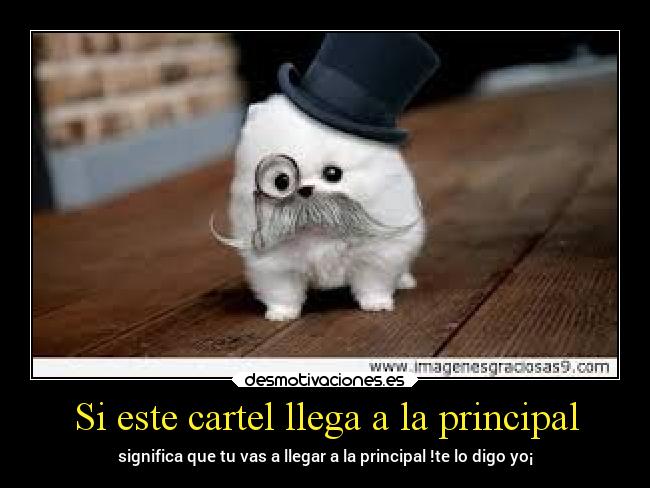 Si este cartel llega a la principal -