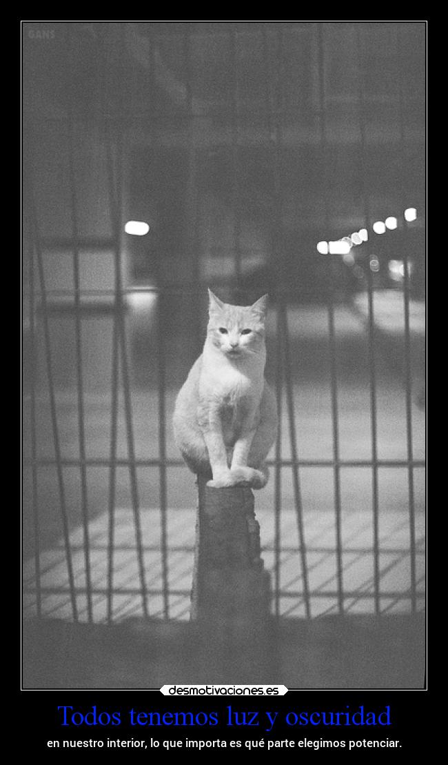 Todos tenemos luz y oscuridad - en nuestro interior, lo que importa es qué parte elegimos potenciar.