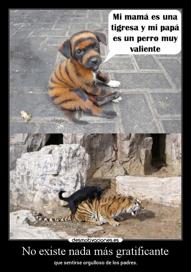 No existe nada más gratificante - que sentirse orgulloso de los padres.