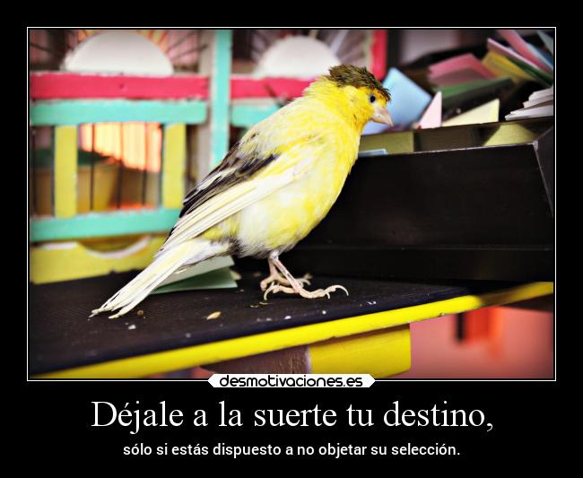 Déjale a la suerte tu destino, - sólo si estás dispuesto a no objetar su selección.