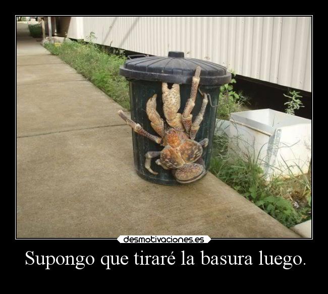 Supongo que tiraré la basura luego. -