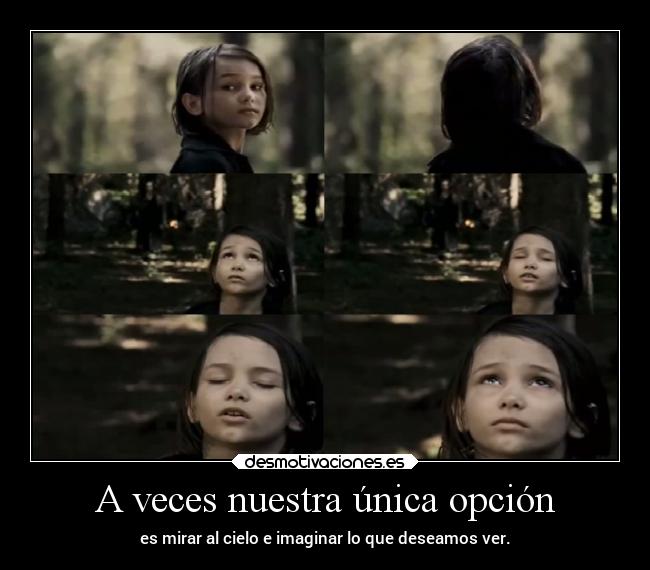 carteles dolor mundo amor felicidad familia muerte vida llorar raptorhunters ultimo tren auschwitz nazis ama desmotivaciones