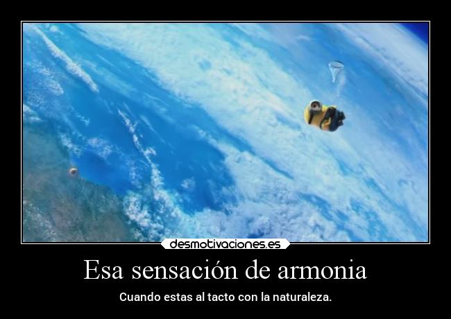Esa sensación de armonia - Cuando estas al tacto con la naturaleza.