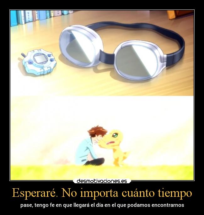 Esperaré. No importa cuánto tiempo -