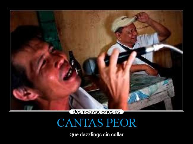 CANTAS PEOR - Que dazzlings sin collar