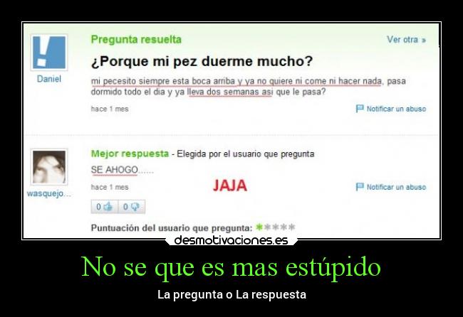 No se que es mas estúpido - 