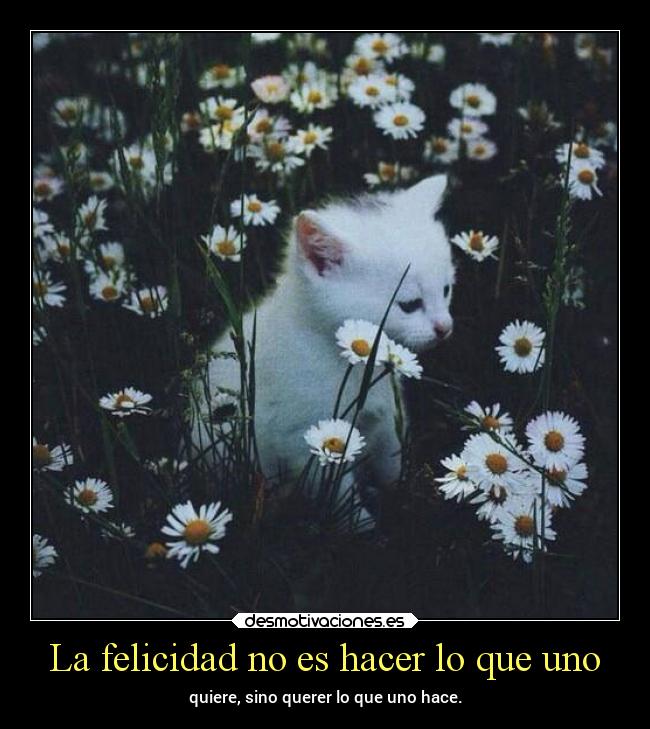 La felicidad no es hacer lo que uno - quiere, sino querer lo que uno hace.