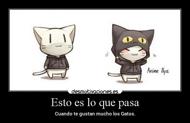 Esto es lo que pasa -