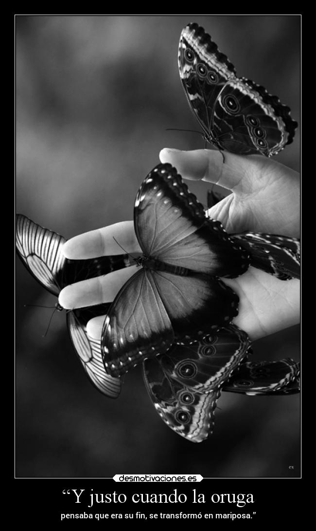 “Y justo cuando la oruga - pensaba que era su fin, se transformó en mariposa.”