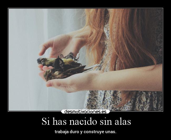 Si has nacido sin alas - trabaja duro y construye unas.